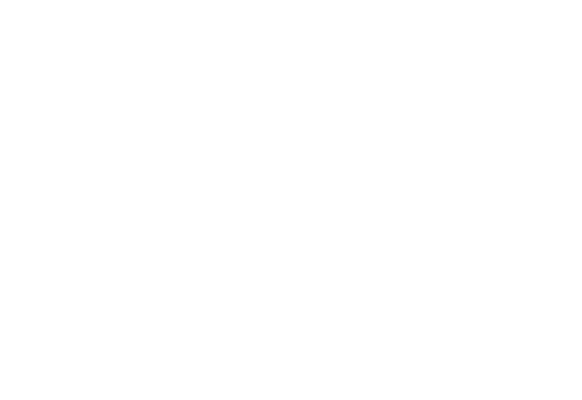 Heera Bricks